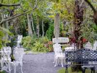 คาเฟ่สวย บรรยากาศดี Basket - coffee and croissant 