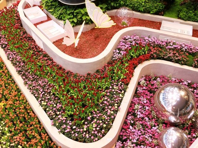 เที่ยวงานดอกไม้ Wondrous Bloom 