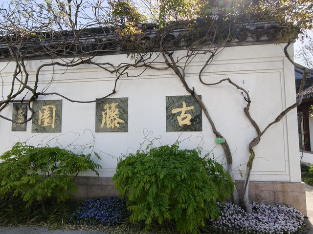 鳥語花香很有特色的一個公園