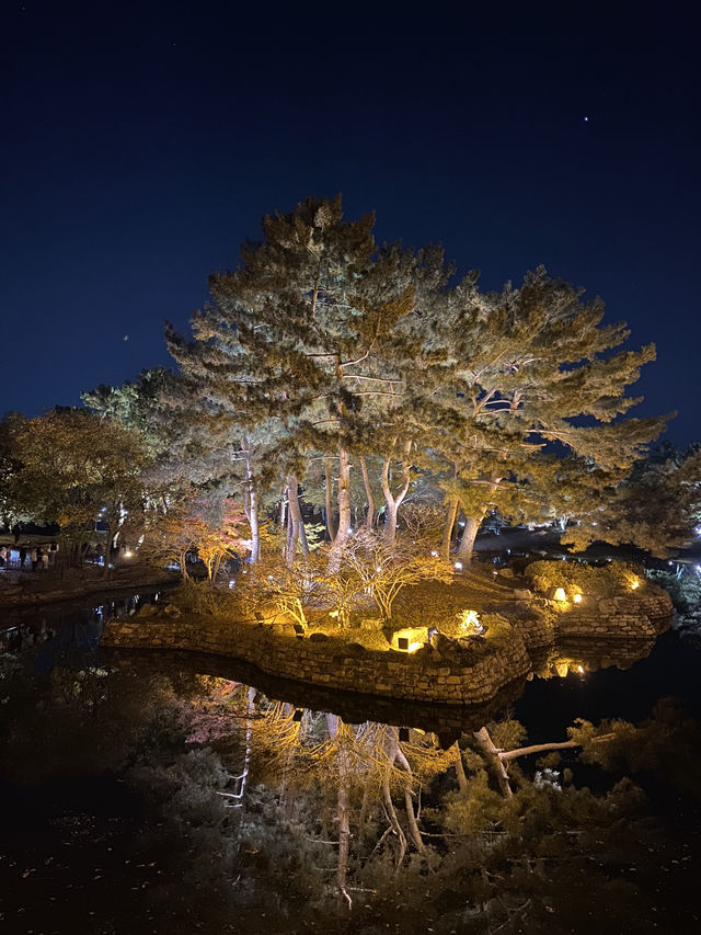 ⛩️고요함부터 힙함까지, 경주 하루 코스 추천