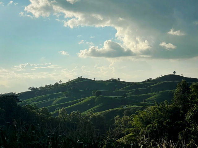 เที่ยวถนนเทเลทับบี้ ร้องกวาง แพร่ ⛰️🌾