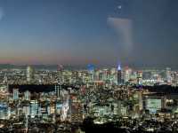 Day and Night Magic: Roppongi Hills View is Worth It!