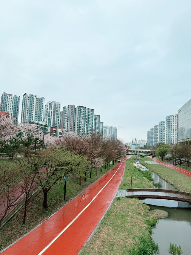 강동구 야외 데이트 장소 추천 🫶🏻🌷
