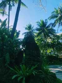 🌸The Secret Garden at The Farm at San Benito🌸