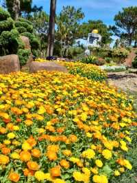 FLORAL PARADISE WORTH EXPLORING