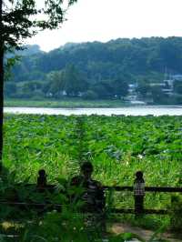 Sinjeong Lake Korea
