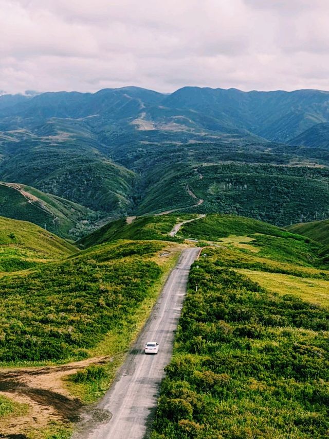中國新疆塔城著名景點和布克賽爾國家濕地公園旅行攻略，適合打卡拍照📸