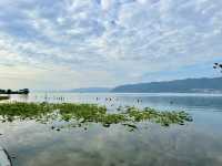 Where Water Wanders Slowly—The Still Beauty of Qingbixi