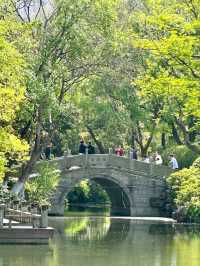 Hongmei Park: A Stroll Through Classical Elegance