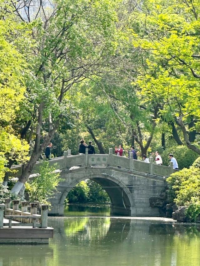 Hongmei Park: A Stroll Through Classical Elegance