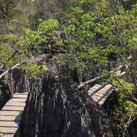 走進另一個世界｜Tsingy De Bemaraha National Park