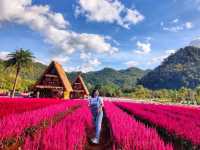 Hokkaido Flower Park Khaoyai
