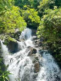 Xiangu Waterfall: Nature’s Majesty and Forest Trails