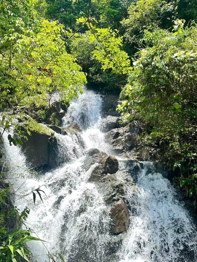 Xiangu Waterfall: Nature’s Majesty and Forest Trails