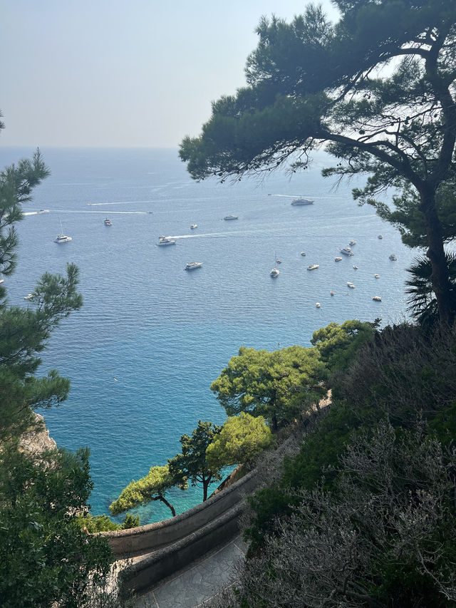 🌊 Via Krupp 🫶 맑고 평화로운 산책길, 혼자서도 충분히 힐링되는 카프리의 숨은 명소