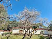 A Serene Retreat: Zhicheng Park 