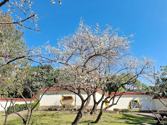 A Serene Retreat: Zhicheng Park 