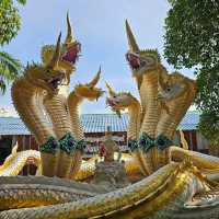 🪷ไหว้พระนอนสวยงาม | วัดพระนอนแม่ปูคา เชียงใหม่🪷
