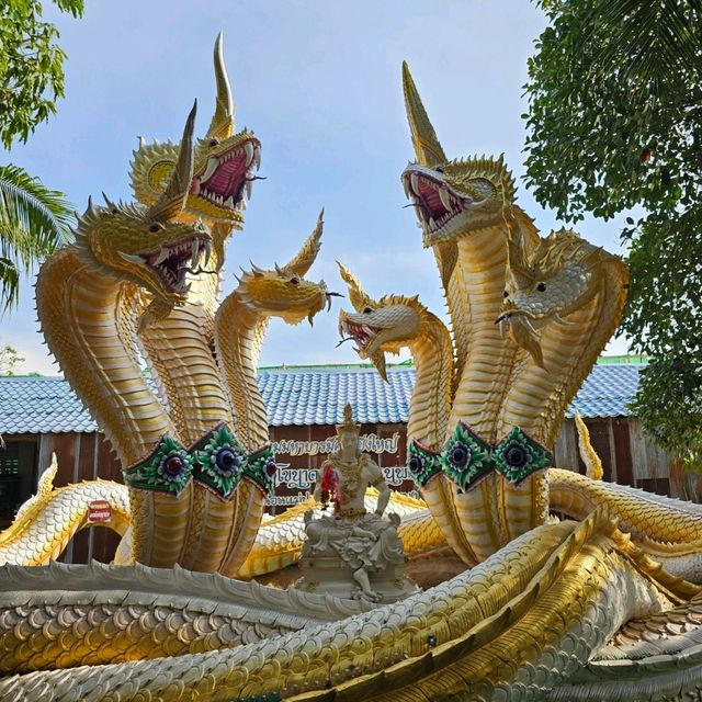 🪷ไหว้พระนอนสวยงาม | วัดพระนอนแม่ปูคา เชียงใหม่🪷