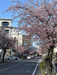 《打卡＋掃街＋掃貨！名古屋行程表一次睇晒》