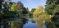 🎨 Fondation Monet in Giverny – 모네의 정원, 꿈같은 아침