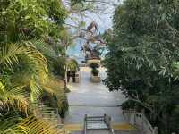 Tropical park YalongBay