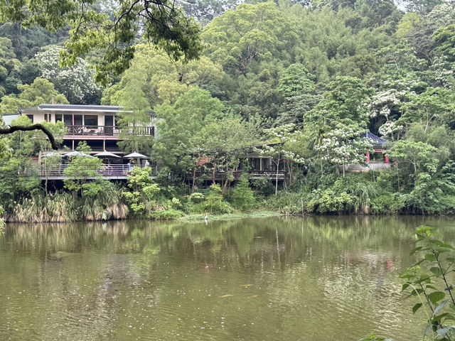 新竹峨眉-十二寮大埤一日遊、湖光山色、輕鬆漫步超療癒！ 