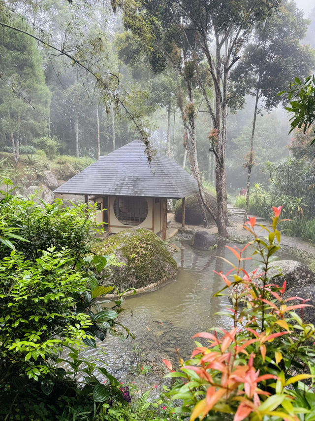 Finding Zen by the Waterfall