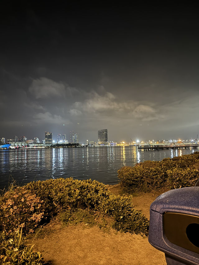 🌌 Centennial Park 야경, 샌디에고의 낭만적인 밤!