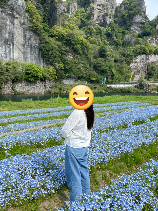 大分穴場スポット⭐️