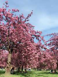 🇫🇷 Parc de Sceaux | A Spring Invitation from Paris
