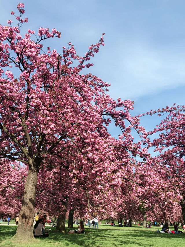 🇫🇷 Parc de Sceaux | A Spring Invitation from Paris