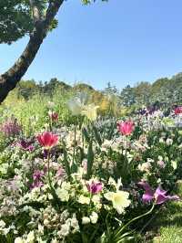 GWここにいこう！花畑【神奈川】