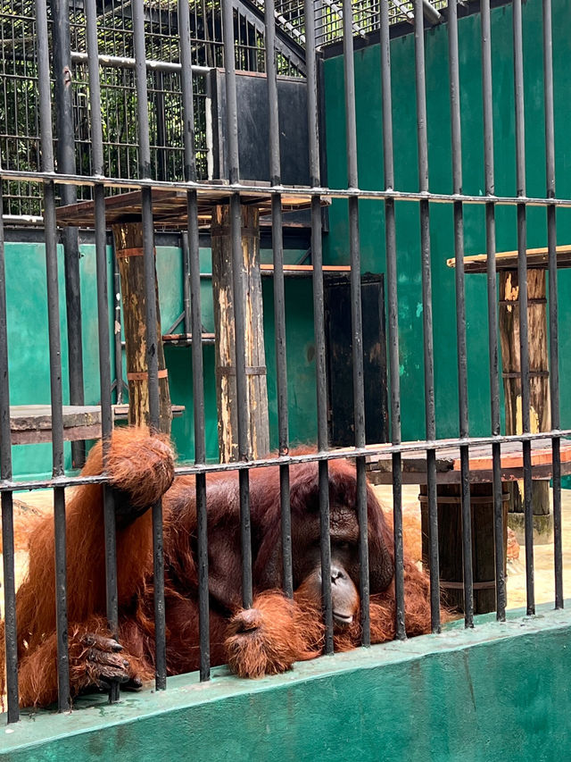 Safari World Bangkok