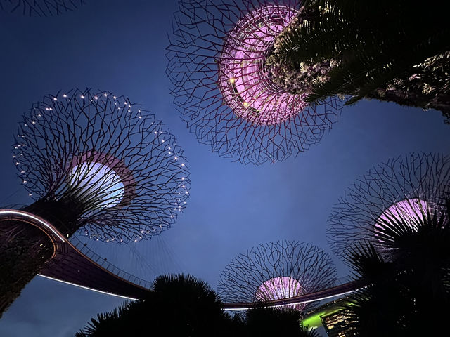 Gardens by the Bay: A Futuristic Oasis in the Heart of Singapore