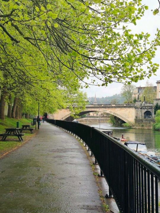Pulteney Bridge
