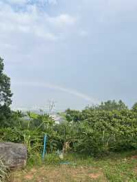 江門2天快閃 