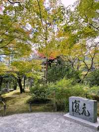 A Day in Arashiyama: Kimono Strolls, Temple Serenity & Tofu Delights🍃