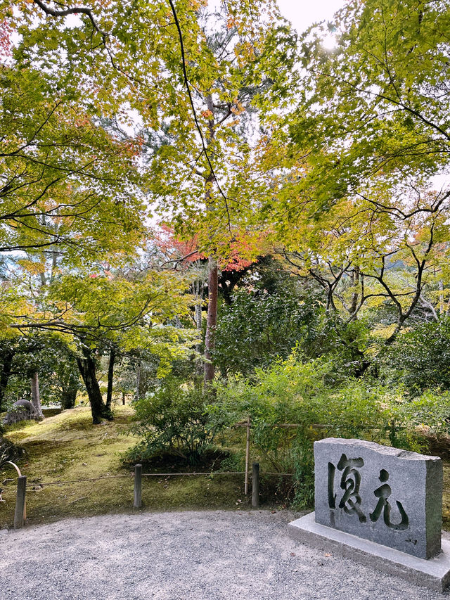 A Day in Arashiyama: Kimono Strolls, Temple Serenity & Tofu Delights🍃