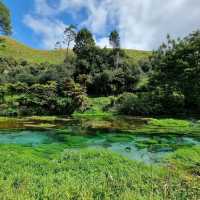 A Hidden Gem That Lives Up to the Hype – Blue Spring Magic