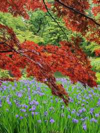 Nezu Museum: Where Art and Nature Flow Seamlessly