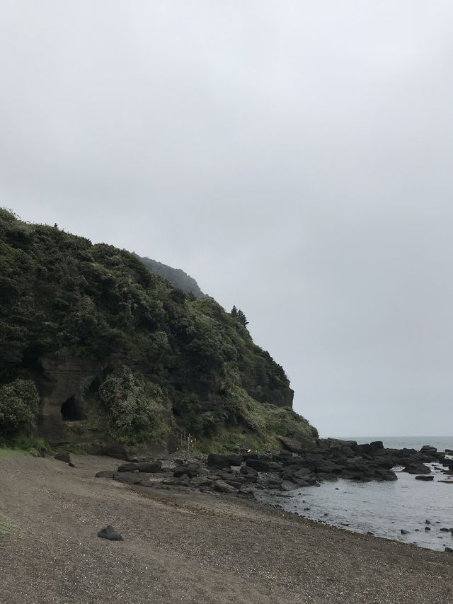 뚜벅이의 제주도 혼자여행🐳