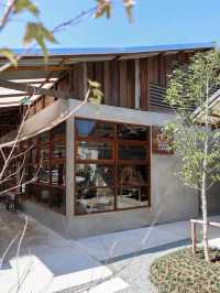 🇹🇭清邁咖啡探店｜School Coffee