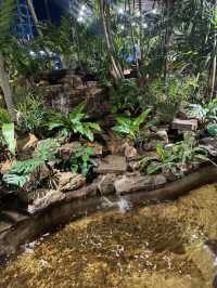 คาเฟ่สายแคมป์ต้องรัก Campyard หาดใหญ่