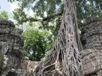How to spend 3days at Siem Reap
