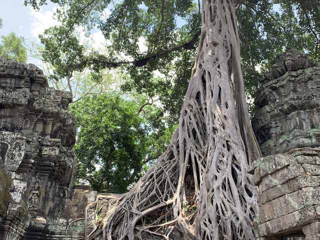 How to spend 3days at Siem Reap