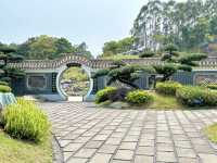  **🌿【南寧園博園必遊！羅漢松園：山水畫境中的禪意秘境】🌿**  