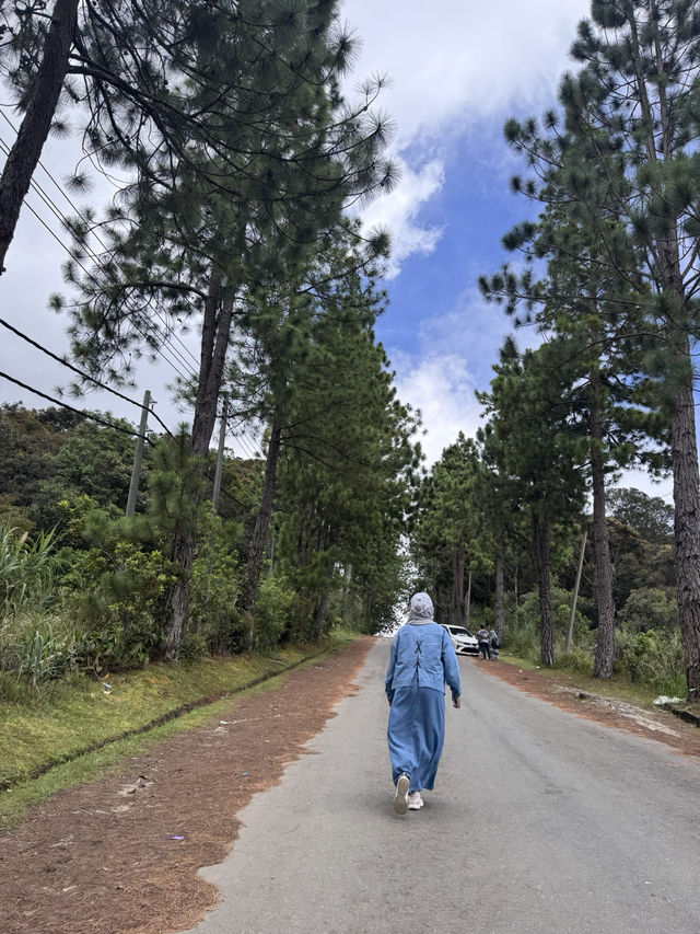 Kundasang!