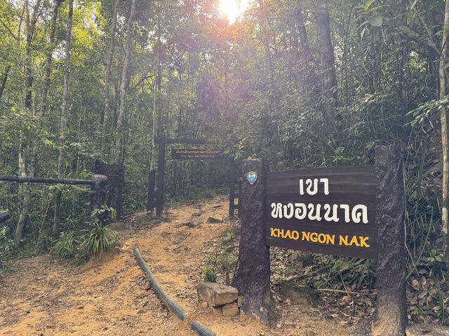 แนะนำสถานที่วิ่งเทรลไกล้ๆเมืองกระบี่