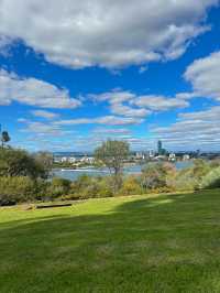 Kings Park and Botanic Garden